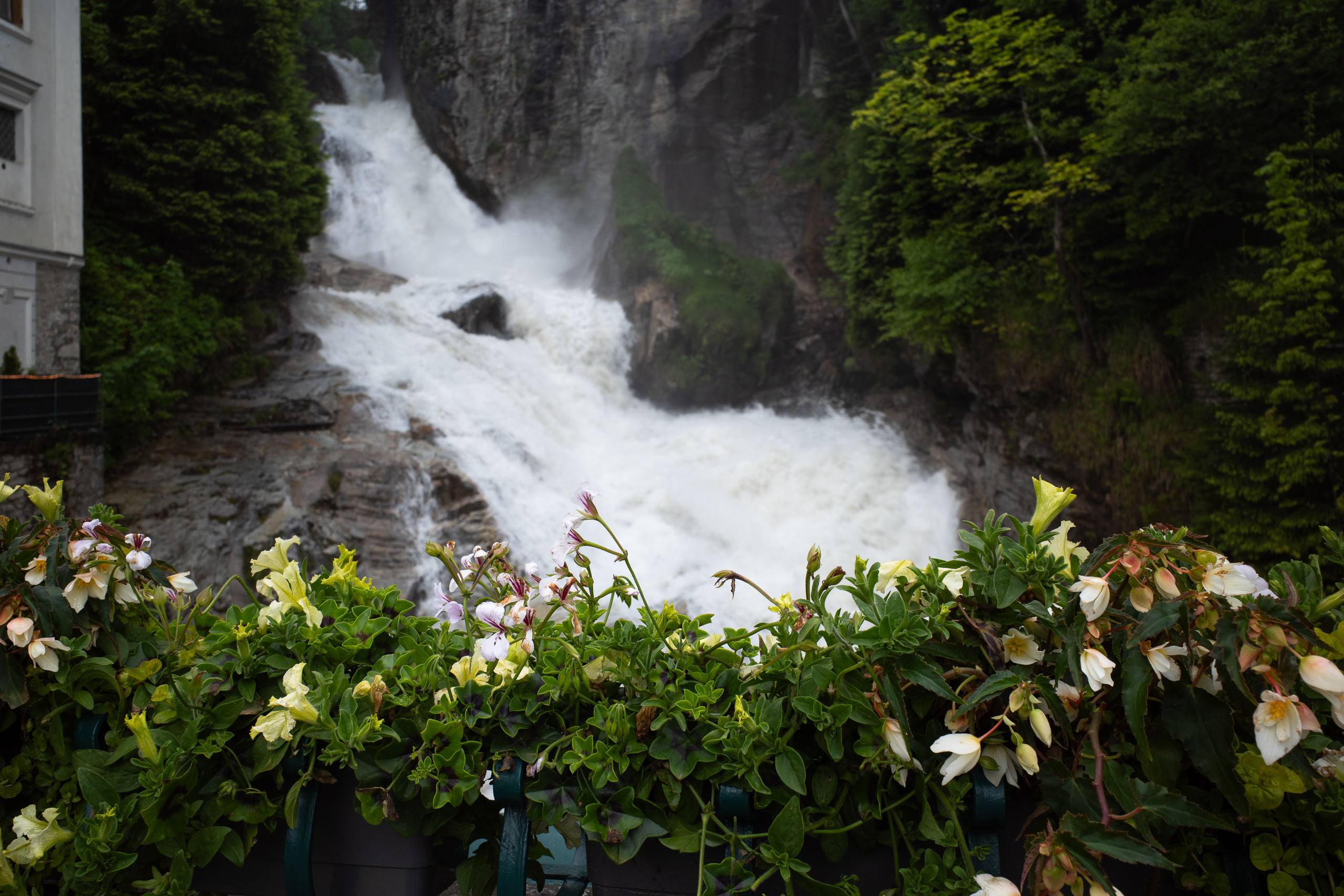 Der Gasteiner Wasserfall tost hinter den Blumenkisten der Brüstung